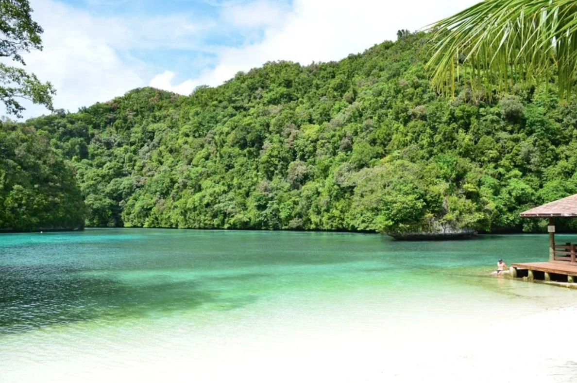 帛琉 旅遊泡泡 台灣 出國 國外旅遊 旅行 海島 海邊 海灘 海洋生物 防疫 篩檢 隔離